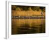 Lake Tahoe California, USA-null-Framed Photographic Print