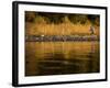 Lake Tahoe California, USA-null-Framed Photographic Print