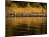 Lake Tahoe California, USA-null-Mounted Photographic Print