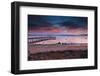 Lake Tahoe in sunset-Belinda Shi-Framed Photographic Print