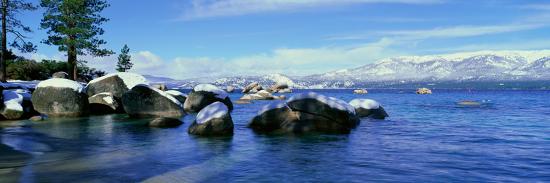 Premium Photographic Print, , large