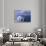 Lake Tahoe, Nevada-null-Photographic Print displayed on a wall