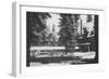 Lake Tahoe Tavern in Lake Tahoe, CA Photograph - Lake Tahoe, CA-Lantern Press-Framed Art Print