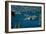 Lake Tahoe-J.D. Mcfarlan-Framed Photographic Print