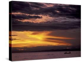 Lake Tanganyika From Within Gombe National Park, Tanzania-Kristin Mosher-Stretched Canvas