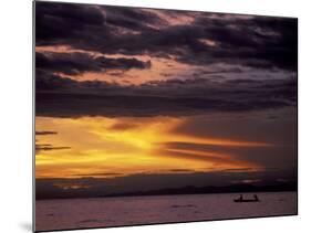 Lake Tanganyika From Within Gombe National Park, Tanzania-Kristin Mosher-Mounted Photographic Print