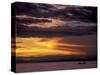 Lake Tanganyika From Within Gombe National Park, Tanzania-Kristin Mosher-Stretched Canvas