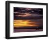 Lake Tanganyika From Within Gombe National Park, Tanzania-Kristin Mosher-Framed Photographic Print