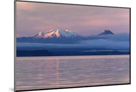 Lake Taupo with Mount Ruapehu and Mount Ngauruhoe at Dawn-Stuart-Mounted Photographic Print