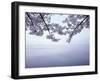 Lake Tazawa and Cherry Blossoms-null-Framed Premium Photographic Print