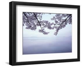 Lake Tazawa and Cherry Blossoms-null-Framed Photographic Print