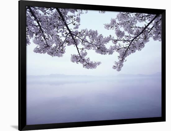 Lake Tazawa and Cherry Blossoms-null-Framed Photographic Print