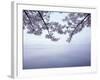 Lake Tazawa and Cherry Blossoms-null-Framed Photographic Print