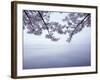 Lake Tazawa and Cherry Blossoms-null-Framed Photographic Print