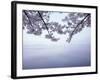 Lake Tazawa and Cherry Blossoms-null-Framed Photographic Print