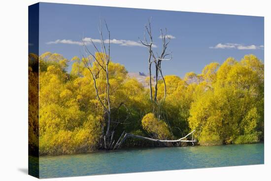 Lake Tekapo, Canterbury, South Island, New Zealand-Rainer Mirau-Stretched Canvas