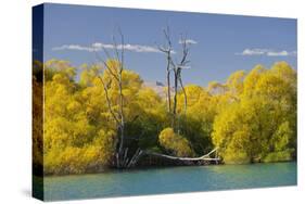 Lake Tekapo, Canterbury, South Island, New Zealand-Rainer Mirau-Stretched Canvas