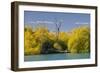 Lake Tekapo, Canterbury, South Island, New Zealand-Rainer Mirau-Framed Photographic Print