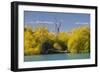 Lake Tekapo, Canterbury, South Island, New Zealand-Rainer Mirau-Framed Photographic Print