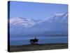 Lake Tekapo, Mackenzie Basin, South Island, New Zealand, Pacific-Mcconnell Andrew-Stretched Canvas