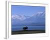 Lake Tekapo, Mackenzie Basin, South Island, New Zealand, Pacific-Mcconnell Andrew-Framed Photographic Print