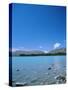 Lake Tekapo, Mount Cook National Park, Canterbury, South Island, New Zealand-Neale Clarke-Stretched Canvas