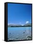 Lake Tekapo, Mount Cook National Park, Canterbury, South Island, New Zealand-Neale Clarke-Framed Stretched Canvas