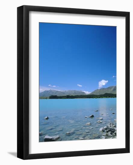 Lake Tekapo, Mount Cook National Park, Canterbury, South Island, New Zealand-Neale Clarke-Framed Photographic Print