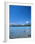 Lake Tekapo, Mount Cook National Park, Canterbury, South Island, New Zealand-Neale Clarke-Framed Photographic Print