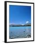 Lake Tekapo, Mount Cook National Park, Canterbury, South Island, New Zealand-Neale Clarke-Framed Photographic Print