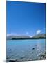 Lake Tekapo, Mount Cook National Park, Canterbury, South Island, New Zealand-Neale Clarke-Mounted Photographic Print