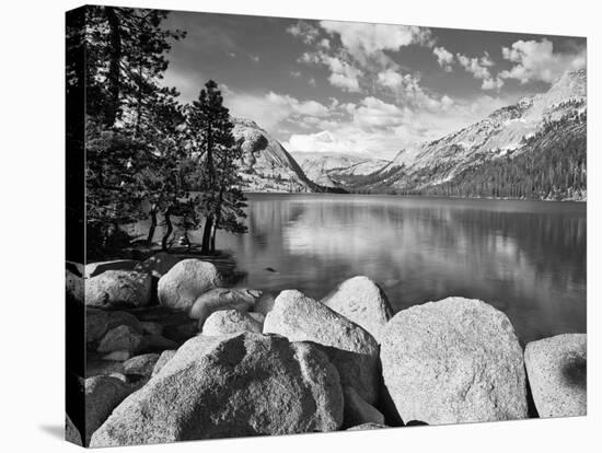 Lake Tenaya #2-Monte Nagler-Stretched Canvas
