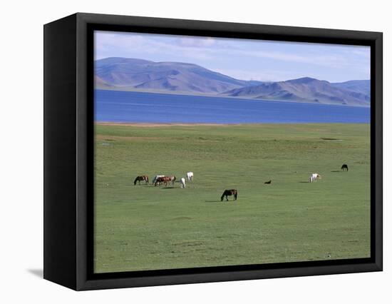 Lake Terkhiin Tsagaan Nuur, Volcanic Region of Khorgo, Arkhangai, Mongolia, Central Asia-Bruno Morandi-Framed Stretched Canvas