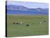 Lake Terkhiin Tsagaan Nuur, Volcanic Region of Khorgo, Arkhangai, Mongolia, Central Asia-Bruno Morandi-Stretched Canvas