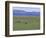 Lake Terkhiin Tsagaan Nuur, Volcanic Region of Khorgo, Arkhangai, Mongolia, Central Asia-Bruno Morandi-Framed Photographic Print