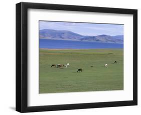 Lake Terkhiin Tsagaan Nuur, Volcanic Region of Khorgo, Arkhangai, Mongolia, Central Asia-Bruno Morandi-Framed Photographic Print