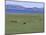 Lake Terkhiin Tsagaan Nuur, Volcanic Region of Khorgo, Arkhangai, Mongolia, Central Asia-Bruno Morandi-Mounted Photographic Print