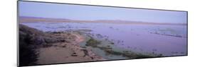 Lake Titicaca, Near Puno, Peru, South America-Gavin Hellier-Mounted Photographic Print