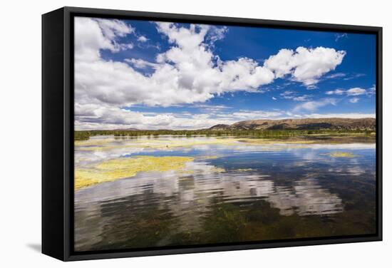 Lake Titicaca, Puno Region, Peru, South America-Matthew Williams-Ellis-Framed Stretched Canvas