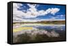 Lake Titicaca, Puno Region, Peru, South America-Matthew Williams-Ellis-Framed Stretched Canvas