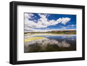 Lake Titicaca, Puno Region, Peru, South America-Matthew Williams-Ellis-Framed Photographic Print