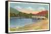 Lake Tomahawk, Black Mountain, North Carolina-null-Framed Stretched Canvas