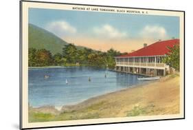 Lake Tomahawk, Black Mountain, North Carolina-null-Mounted Art Print