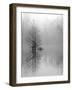 Lake Trees in Winter Fog-Nicholas Bell-Framed Photographic Print