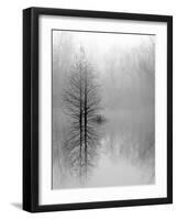 Lake Trees in Winter Fog-Nicholas Bell-Framed Photographic Print