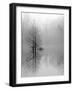 Lake Trees in Winter Fog-Nicholas Bell-Framed Photographic Print