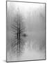 Lake Trees in Winter Fog-Nicholas Bell-Mounted Photographic Print