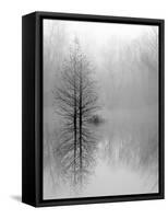 Lake Trees in Winter Fog-Nicholas Bell-Framed Stretched Canvas