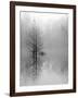Lake Trees in Winter Fog-Nicholas Bell-Framed Photographic Print