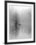 Lake Trees in Winter Fog-Nicholas Bell-Framed Photographic Print